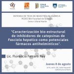 Defensa tesis maestriaFFerraro
