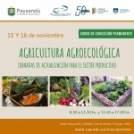 Flyers UEP 20195