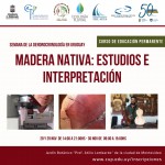 Flyers UEP 2019 maderanativa montevideo