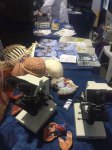 Feria educativa en Paysandú con gran afluencia de visitantes