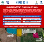 Introducción al análisis automático de imágenes