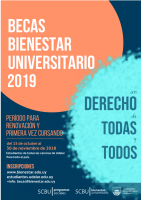 becas renueva 2019
