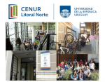 cenurLN