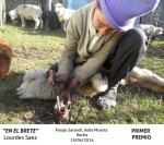 concurso fotografia