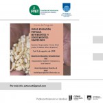 extensión posgrado1