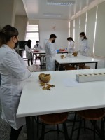 laboratorio Medicina