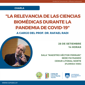 Radi en Pay