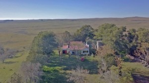 WhatsApp Image 2021 10 03 at 22.34.39 1