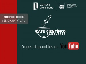 cafe youtube