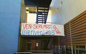 cup 2017