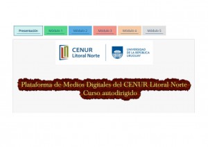 curso autodirigido medios digitales cup