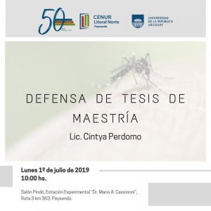 defensa de tesis de maestría