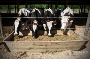 l 324 cuatroestaciones EEMAC