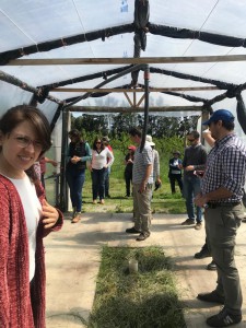 lechos biológicos cesio3