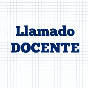 llamado docente