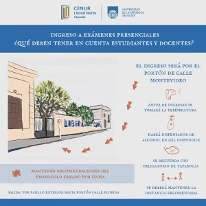 protocolo ingreso examenes